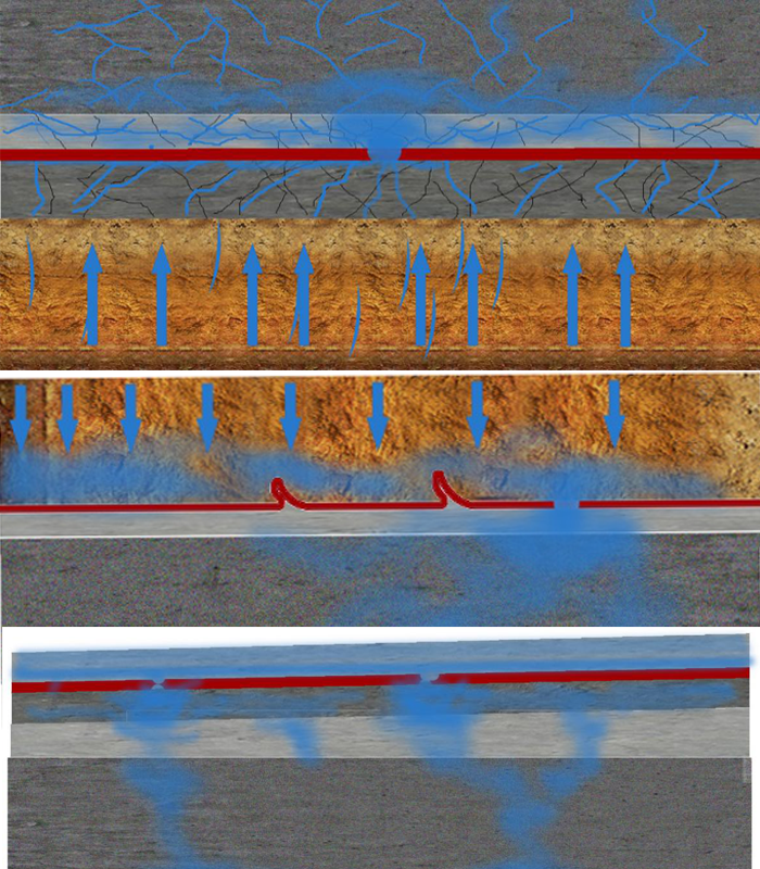 �ŵ�88(�й���)�ٷ���վ