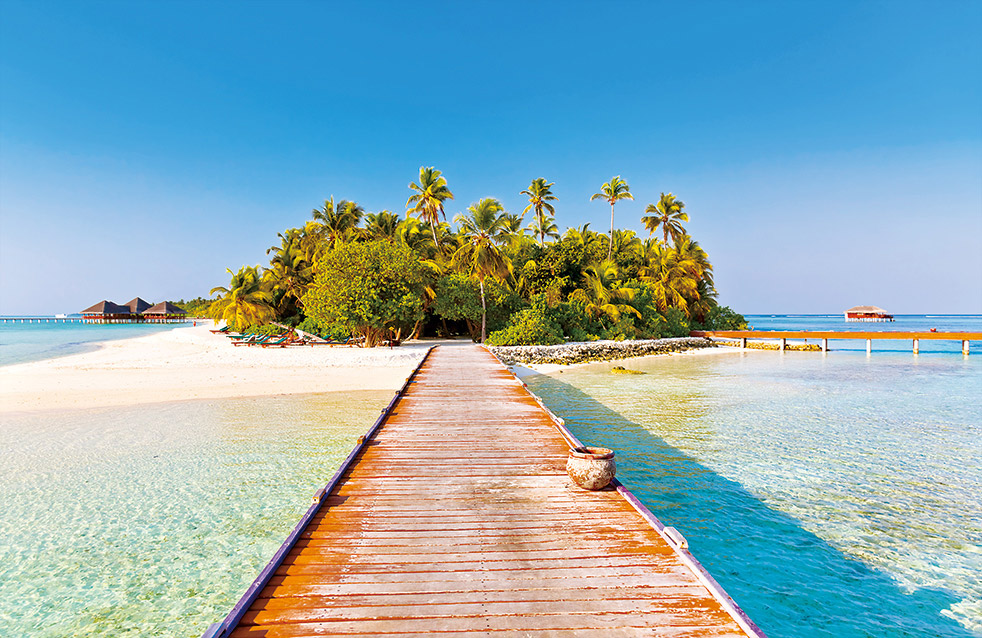 �ŵ�88(�й���)�ٷ���վ