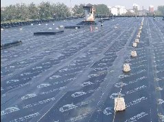 �ŵ�88(�й���)�ٷ���վ