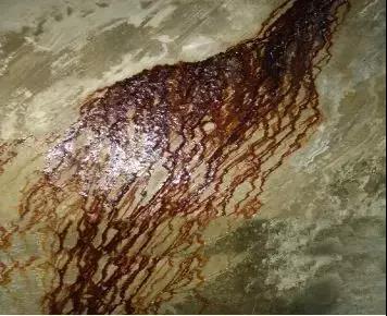 ÓŵÂ88(ÖйúÇø)¹Ù·½ÍøÕ¾