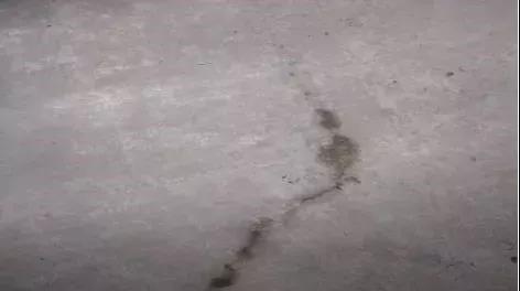 ÓŵÂ88(ÖйúÇø)¹Ù·½ÍøÕ¾