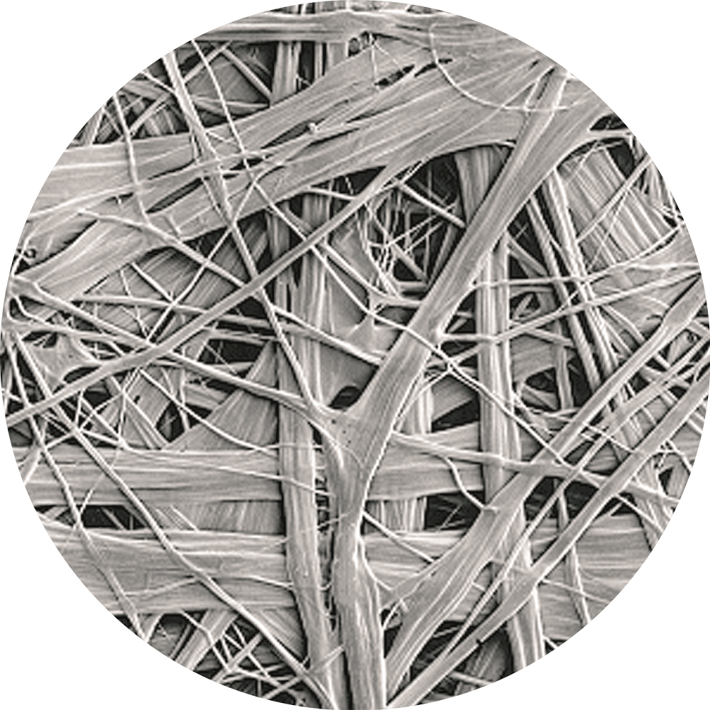 ÓŵÂ88(ÖйúÇø)¹Ù·½ÍøÕ¾