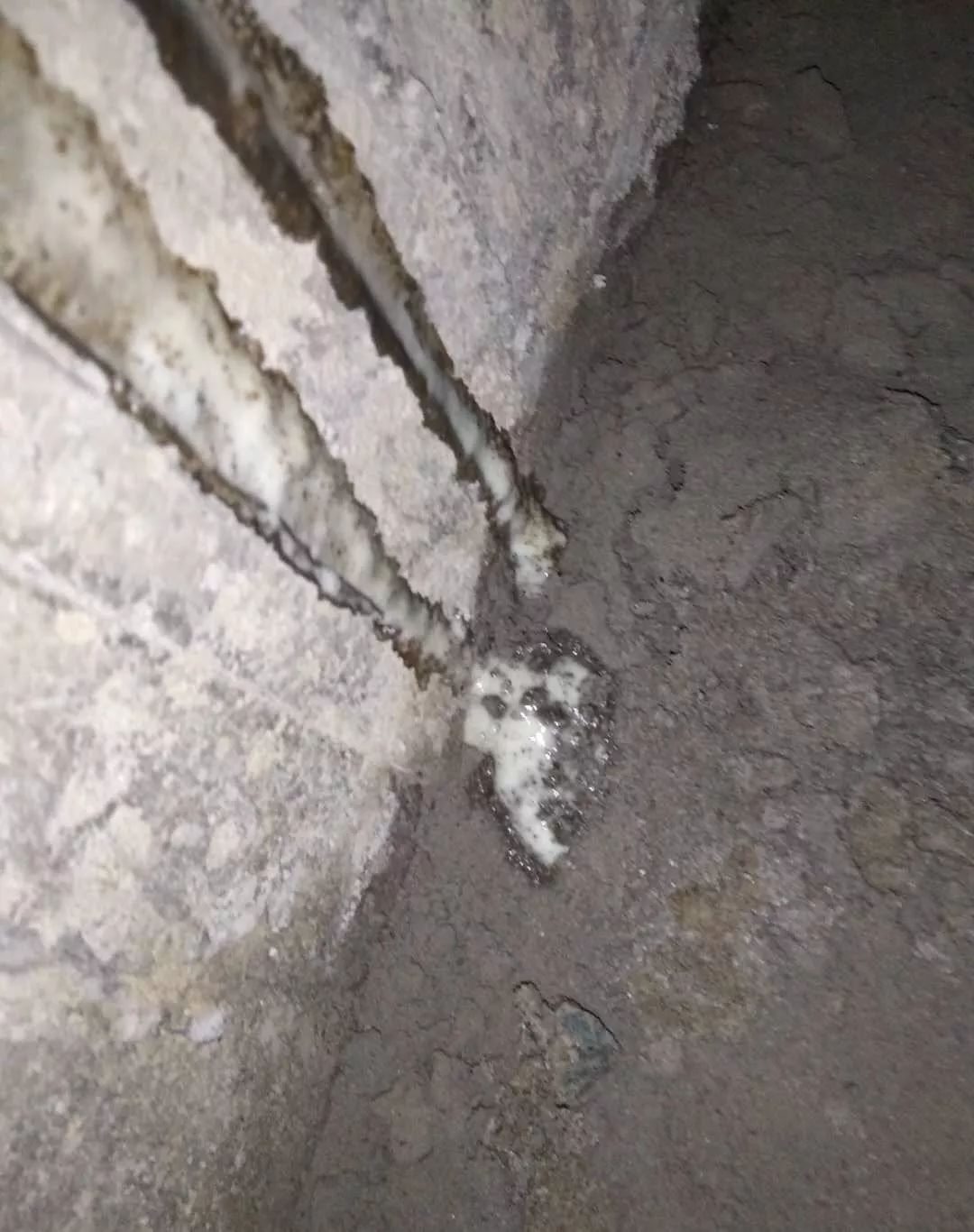 ÓŵÂ88(ÖйúÇø)¹Ù·½ÍøÕ¾