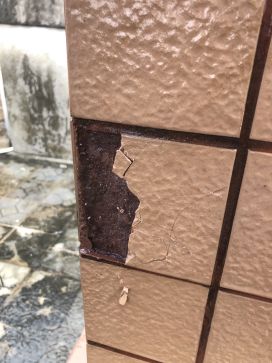 �ŵ�88(�й���)�ٷ���վ