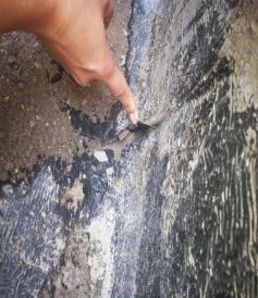 优德88(中国区)官方网站