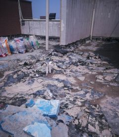 优德88(中国区)官方网站