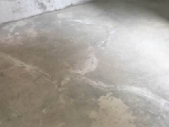 �ŵ�88(�й���)�ٷ���վ