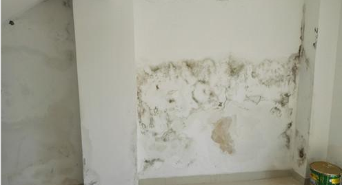 ÓŵÂ88(ÖйúÇø)¹Ù·½ÍøÕ¾