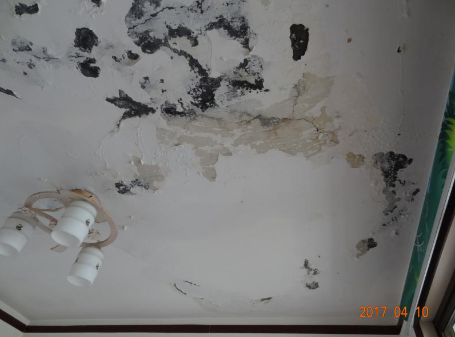 ÓŵÂ88(ÖйúÇø)¹Ù·½ÍøÕ¾