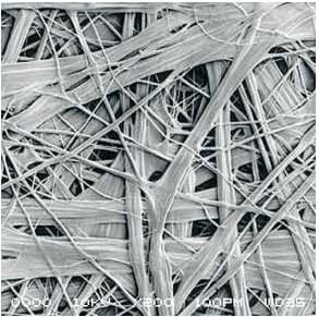 �ŵ�88(�й���)�ٷ���վ