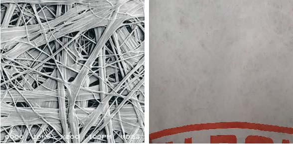 �ŵ�88(�й���)�ٷ���վ