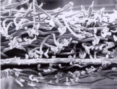 �ŵ�88(�й���)�ٷ���վ