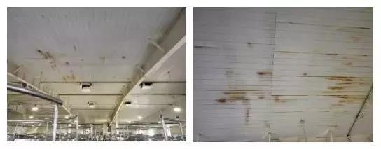 ÓŵÂ88(ÖйúÇø)¹Ù·½ÍøÕ¾