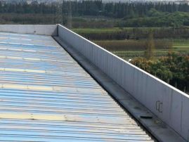 �ŵ�88(�й���)�ٷ���վ