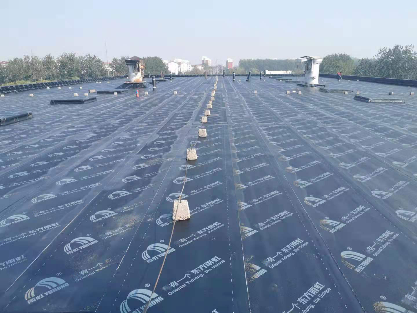 �ŵ�88(�й���)�ٷ���վ