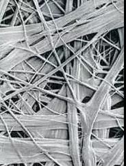 ÓŵÂ88(ÖйúÇø)¹Ù·½ÍøÕ¾