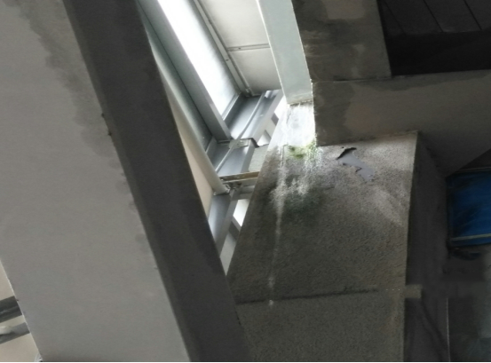 �ŵ�88(�й���)�ٷ���վ