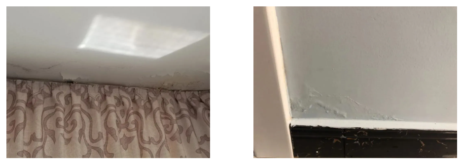 �ŵ�88(�й���)�ٷ���վ