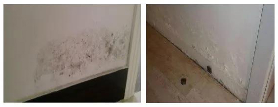 �ŵ�88(�й���)�ٷ���վ