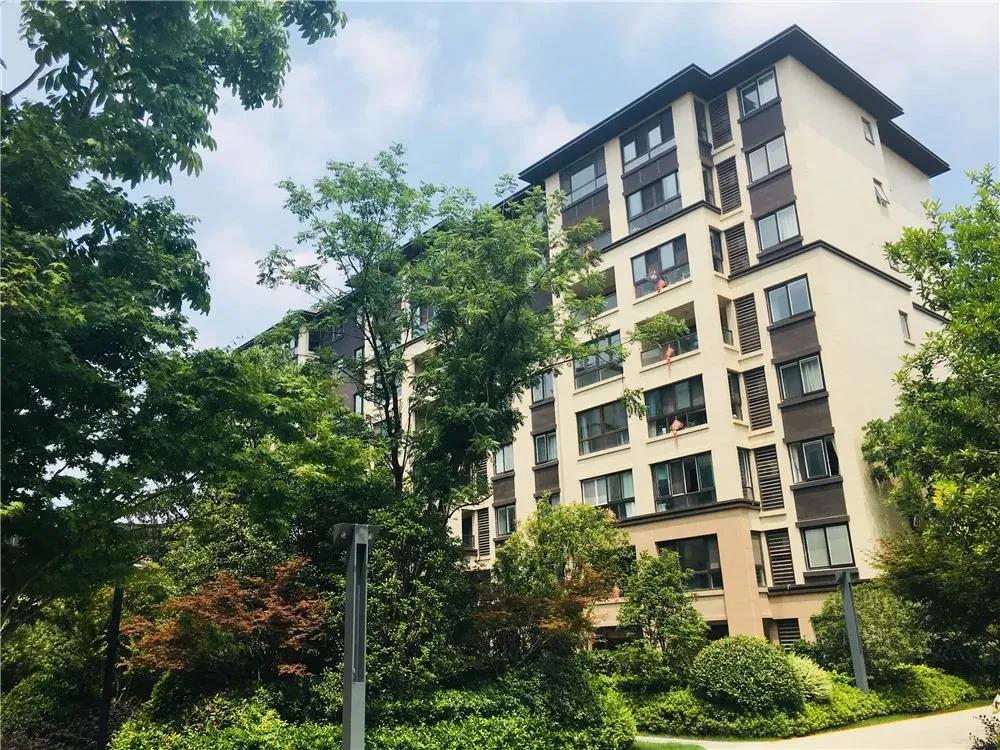 �ŵ�88(�й���)�ٷ���վ