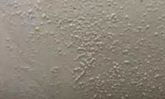 �ŵ�88(�й���)�ٷ���վ