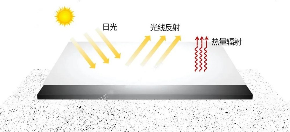 ÓŵÂ88(ÖйúÇø)¹Ù·½ÍøÕ¾